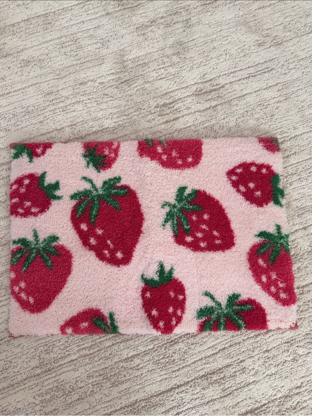 Martha Stewart Pink Plush soft rug
